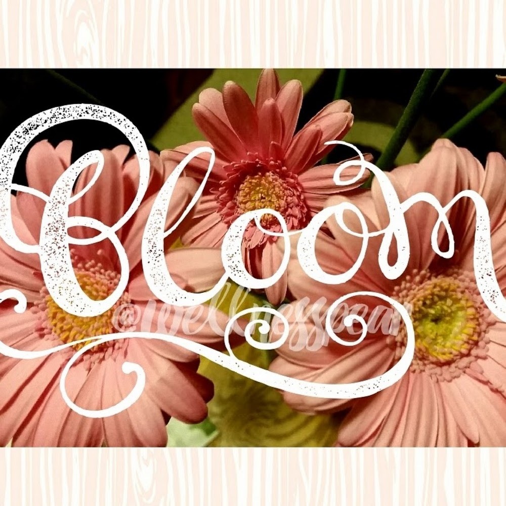 Meet your Posher, Kaylee